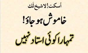خاموش ہو جاؤ! تمھارا کوئی استاد نہیں